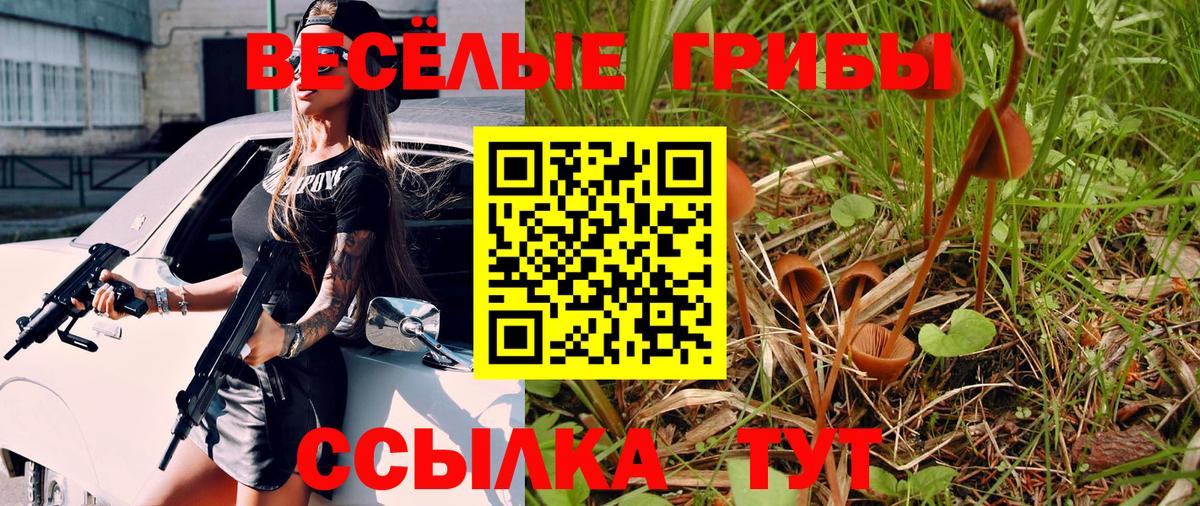 Галлюциногенные грибы Cubensis  наркошоп  Горно-Алтайск 