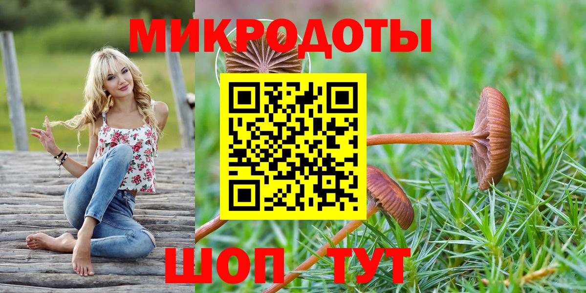 Галлюциногенные грибы Psilocybe Горно-Алтайск